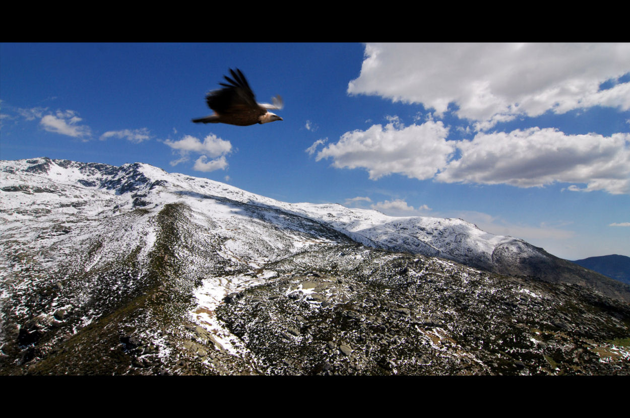 Tercer Premio Reserva de la Bioesfera Sierras de Béjar y Francia 2008