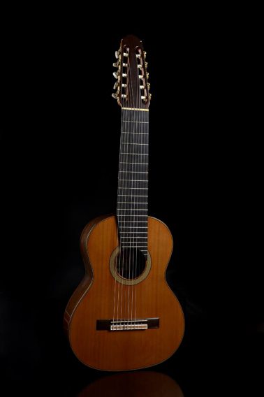 Guitarra clásica 12 cuerdas
