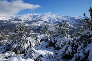 Paisajes nevados para ampliaciones