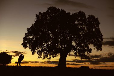 Álbum de boda digital. Preboda