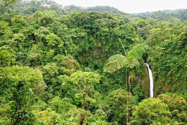 Impresión de imágenes en gran formato