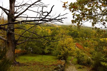 Miles de fotos otoñales