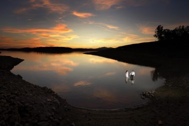 Vuestra es la idea, nosotros la hacemos realidad y fotografía