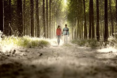 La nieve en primavera